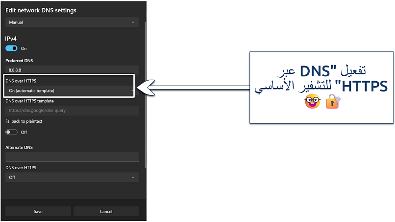 Screenshot of the custom DNS settings on Windows 11